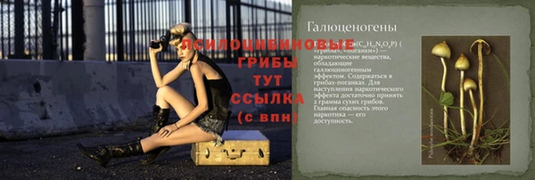 мет Лагань
