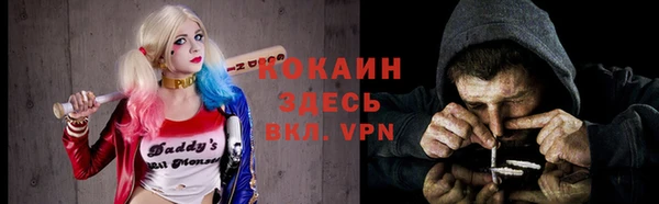 дмт Алексин