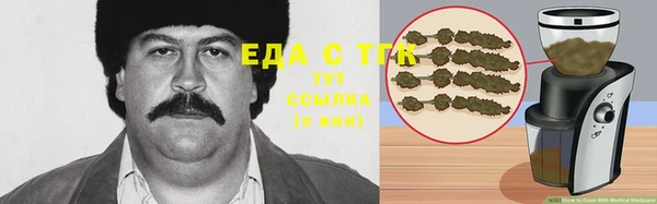 дмт Алексин