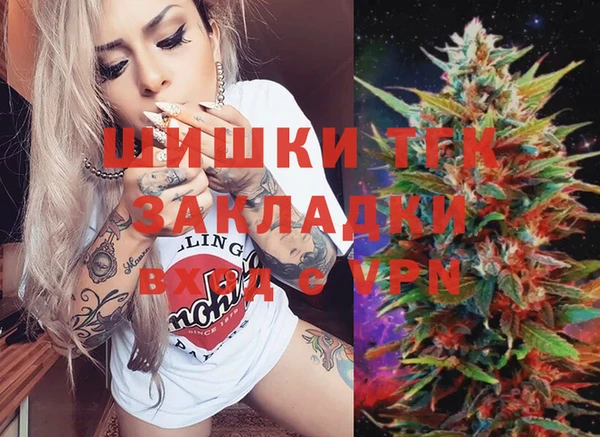 прущий лед Алзамай