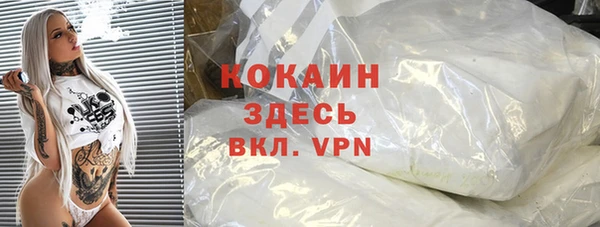 прущий лед Алзамай