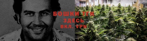 дмт Алексин